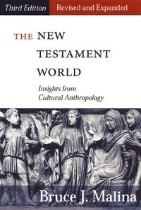 bokomslag The New Testament World, Third Edition, Revised and Expanded