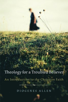 bokomslag Theology for a Troubled Believer