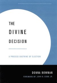 bokomslag The Divine Decision