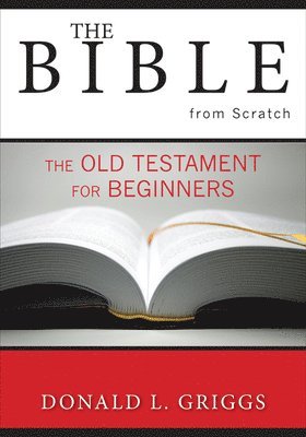 bokomslag The Bible from Scratch