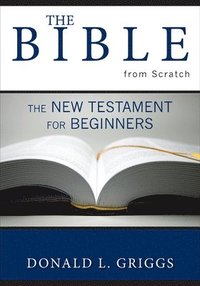 bokomslag The Bible from Scratch