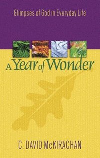 bokomslag Year of Wonder