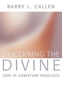 bokomslag Discerning the Divine