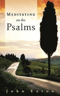 bokomslag Meditating on the Psalms