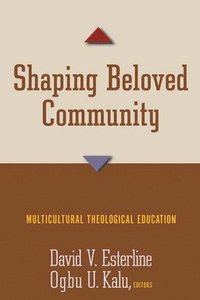 bokomslag Shaping Beloved Community