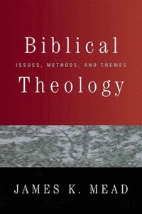 bokomslag Biblical Theology