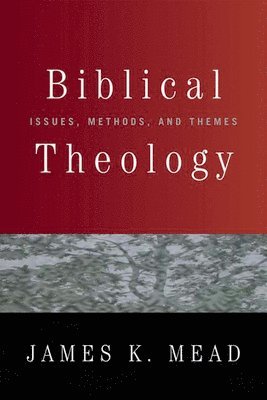 James K. Mead - Biblical Theology, Häftad