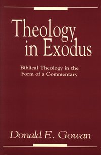 bokomslag Theology in Exodus