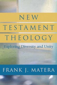 bokomslag New Testament Theology