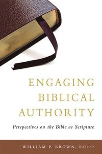 bokomslag Engaging Biblical Authority