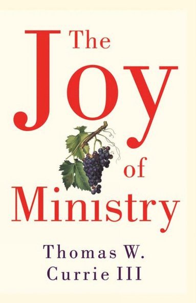 bokomslag Joy of Ministry