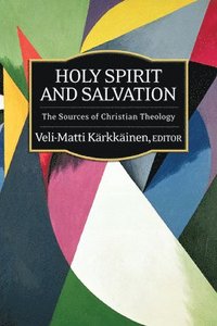bokomslag Holy Spirit and Salvation