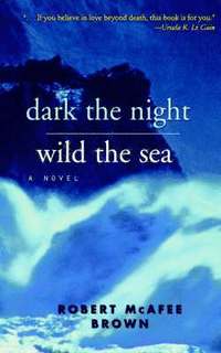 bokomslag Dark the Night, Wild the Sea