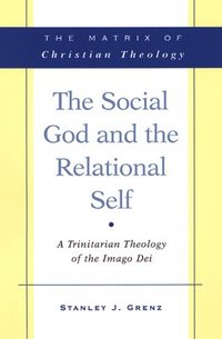 bokomslag The Social God and the Relational Self
