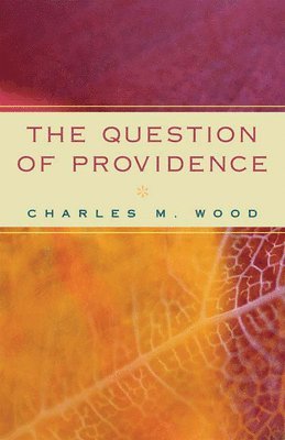 bokomslag Question of Providence
