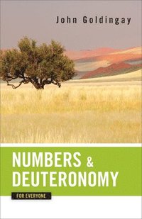 bokomslag Numbers and Deuteronomy for Everyone