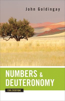 bokomslag Numbers and Deuteronomy for Everyone