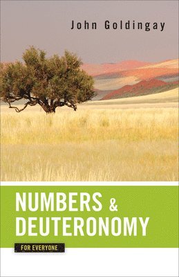 John Goldingay - Numbers and Deuteronomy for Everyone, Häftad
