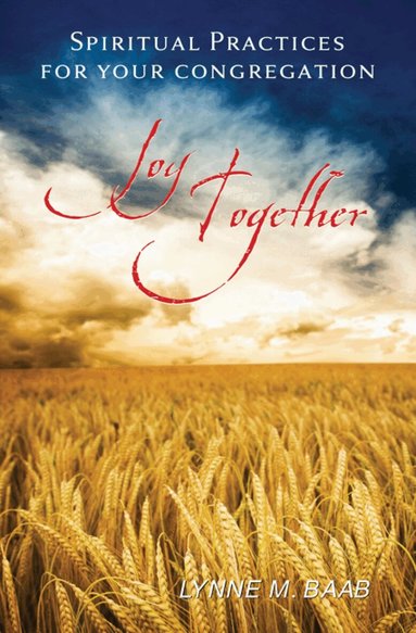 Lynne M. Baab - Joy Together, Häftad