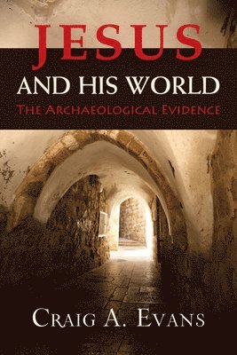 bokomslag Jesus and His World