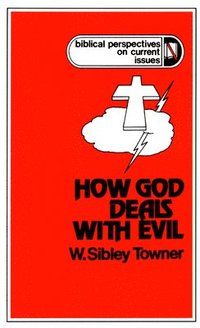 bokomslag How God Deals With Evil