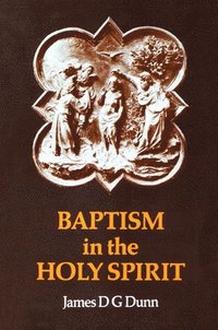 bokomslag Baptism in the Holy Spirit