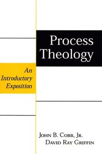 bokomslag Process Theology