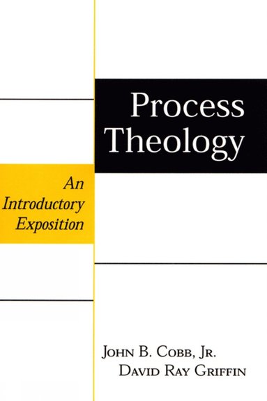 bokomslag Process Theology
