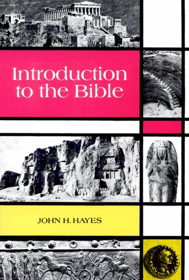 John H. Hayes - Introduction to the Bible, Häftad