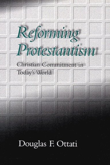 bokomslag Reforming Protestantism