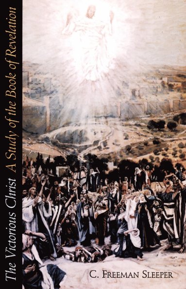 bokomslag Victorious Christ