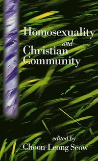 bokomslag Homosexuality and Christian Community