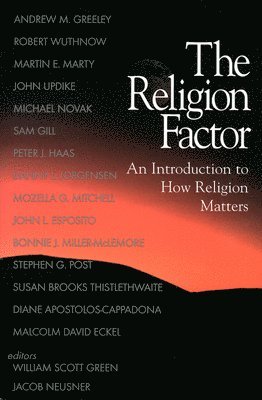 bokomslag Religion Factor