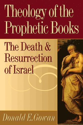 bokomslag Theology of the Prophetic Books