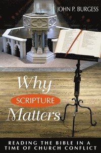 bokomslag Why Scripture Matters