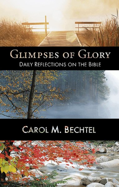 Carol M. Bechtel - Glimpses of Glory, Häftad
