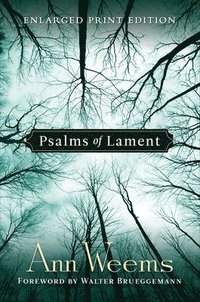 bokomslag Psalms of Lament