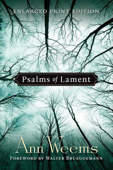 Ann Weems - Psalms of Lament, Häftad