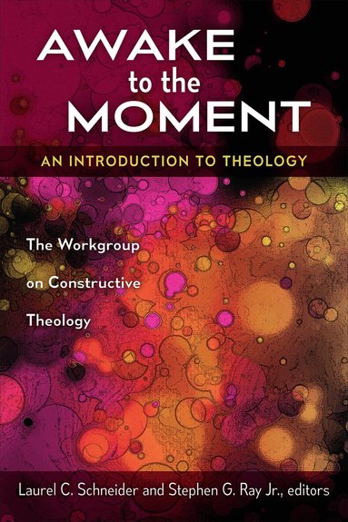 Laurel C. Schneider, Stephen G. Jr. Ray - Awake to the Moment, Häftad