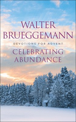 bokomslag Celebrating Abundance