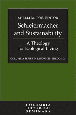 bokomslag Schleiermacher and Sustainability