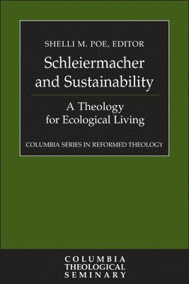 bokomslag Schleiermacher and Sustainability