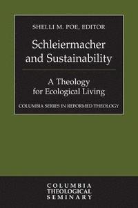 bokomslag Schleiermacher and Sustainability