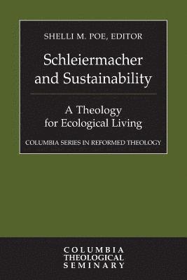 bokomslag Schleiermacher and Sustainability