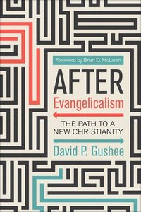 bokomslag After Evangelicalism