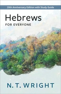 bokomslag Hebrews for Everyone
