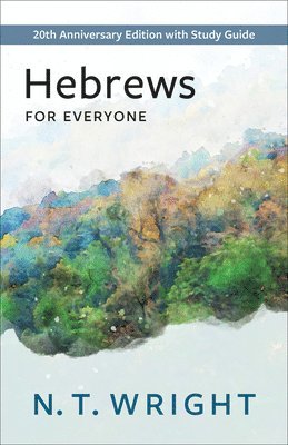 bokomslag Hebrews for Everyone