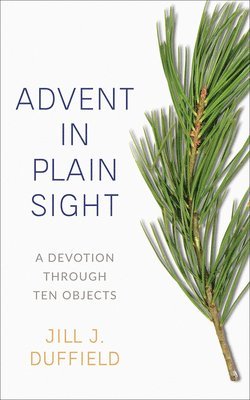 Advent in Plain Sight 1