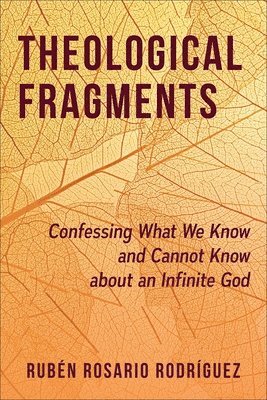 bokomslag Theological Fragments: Confessing What We Know and Cannot Know about an Infinite God