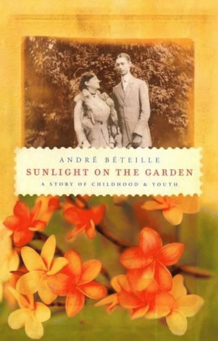 Sunlight on the Garden